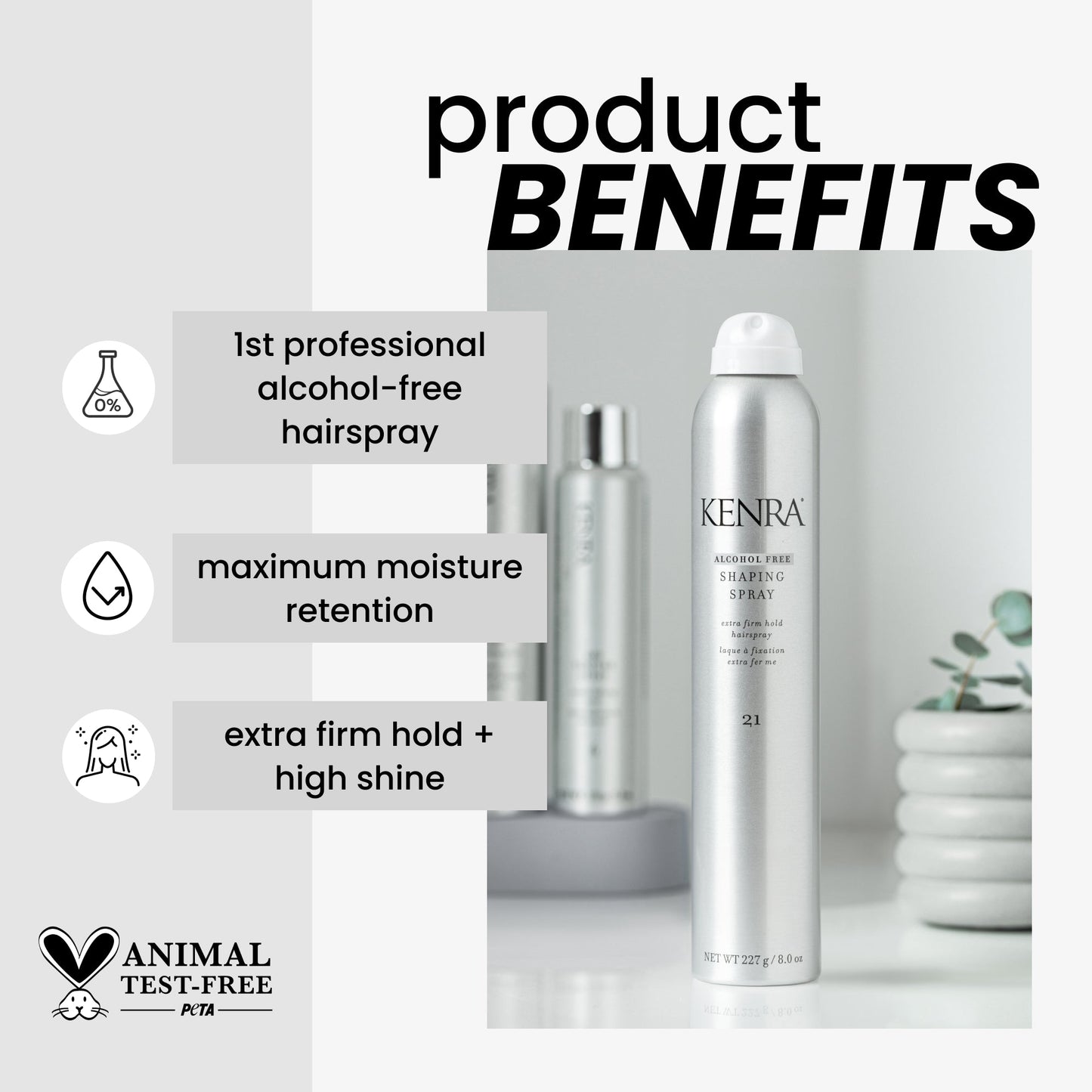 Kenra Shaping Spray 21 product image