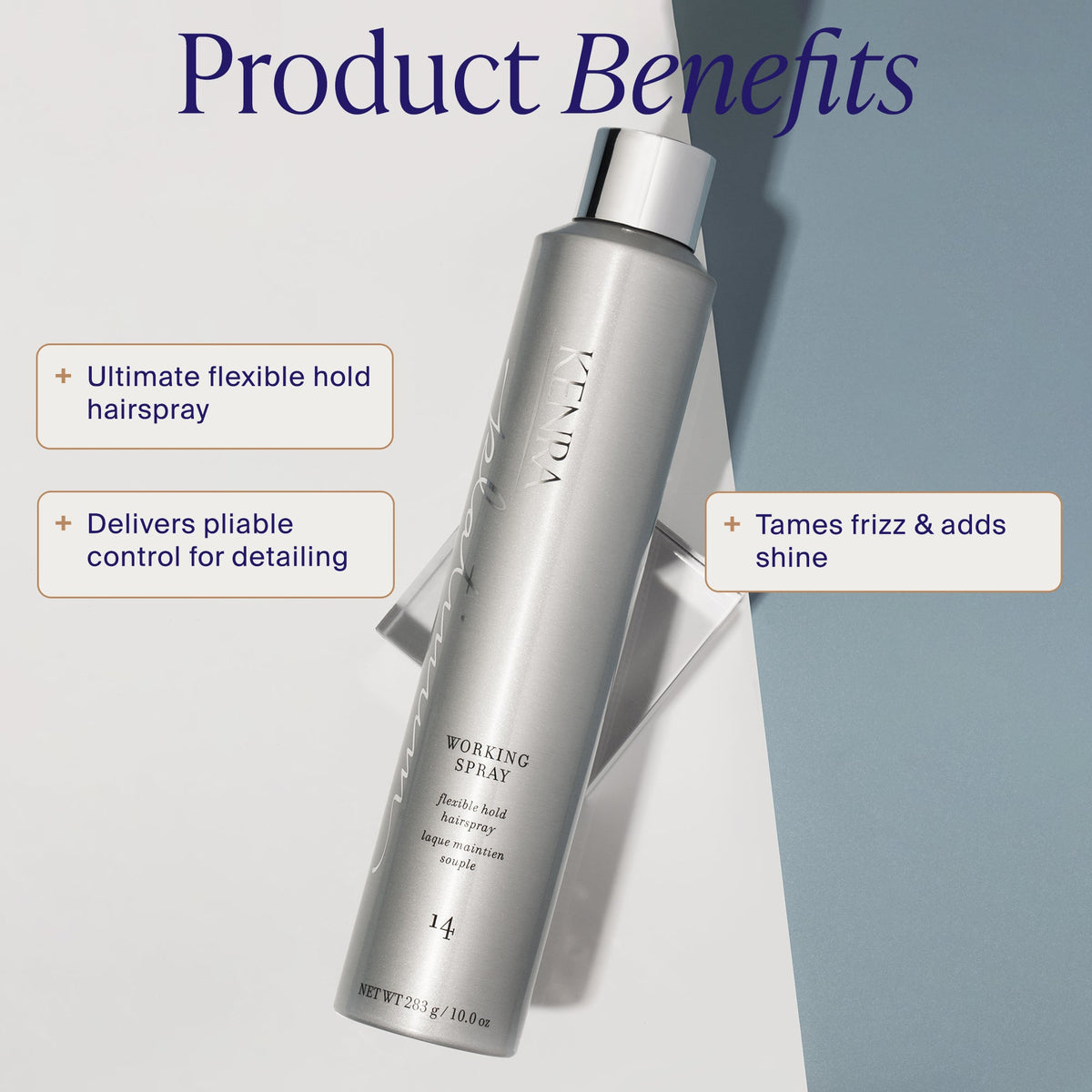 Kenra Platinum Working Spray 14 (55% VOC)