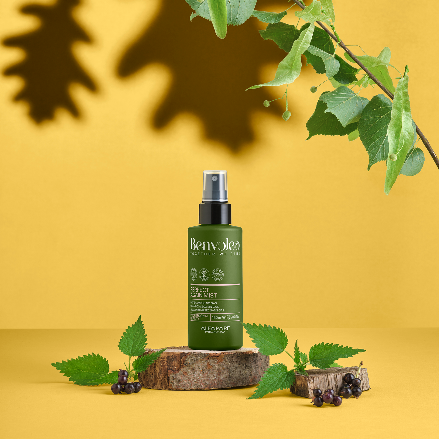 Alfaparf Milano Benvoleo Perfect Again Dry Shampoo Mist product image