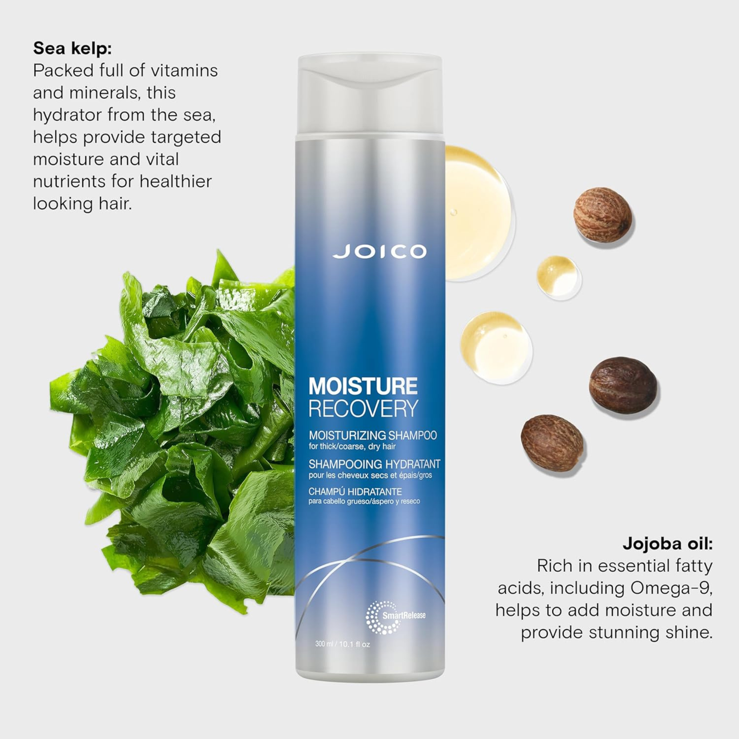 Joico Moisture Recovery Shampoo product image