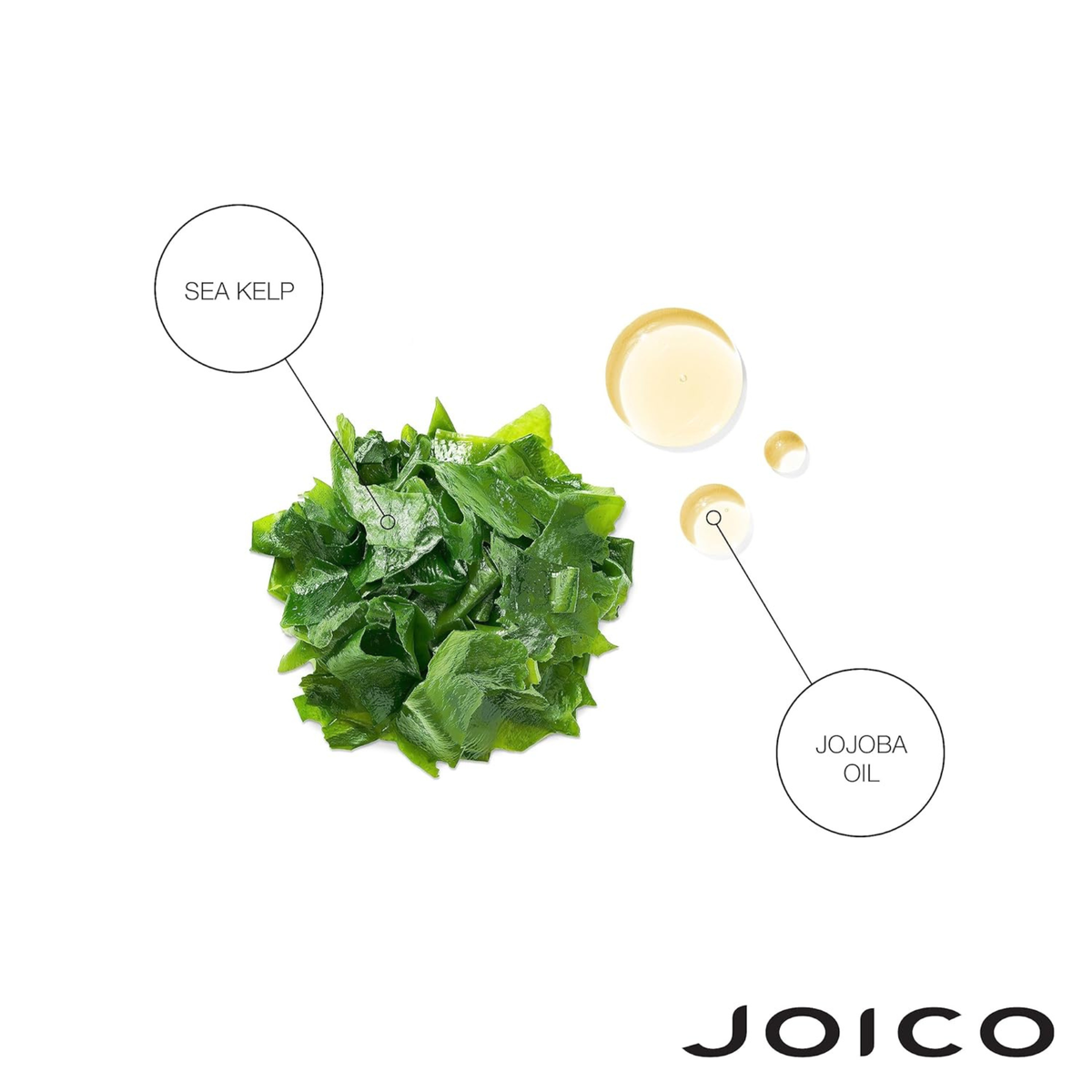 Joico Moisture Recovery Conditioner product image