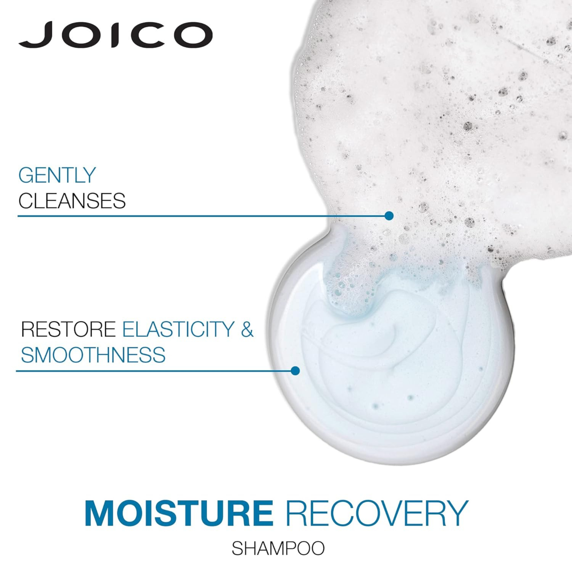 Joico Moisture Recovery Shampoo product image
