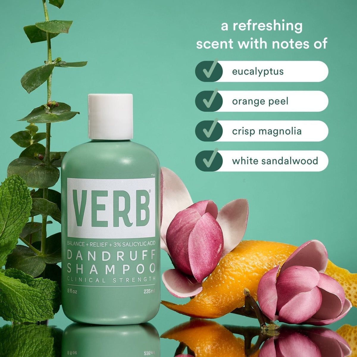 Verb Dandruff Shampoo