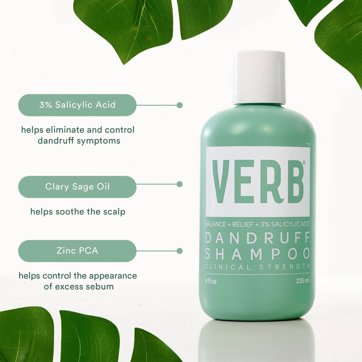 Verb Dandruff Shampoo